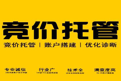 成功案例分享：SEM竞价代运营策略解析